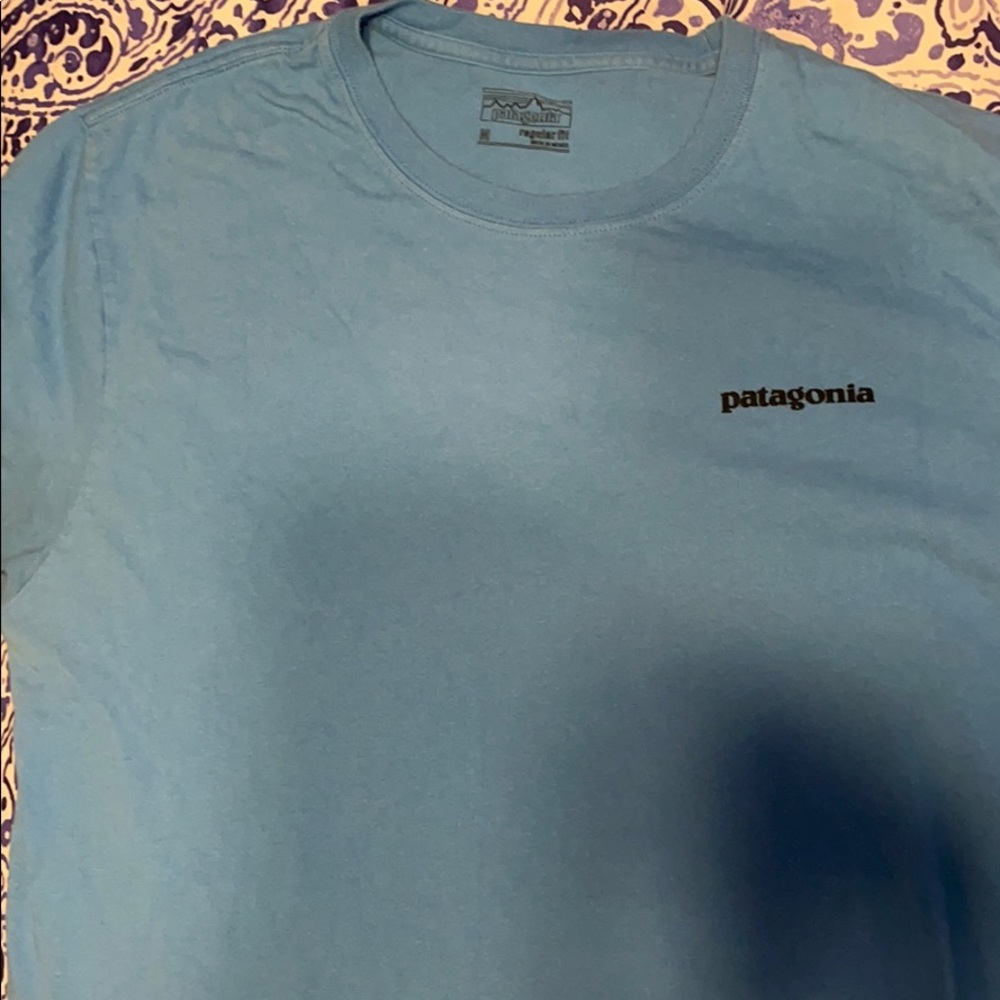 Size M Patagonia long sleeve light blue